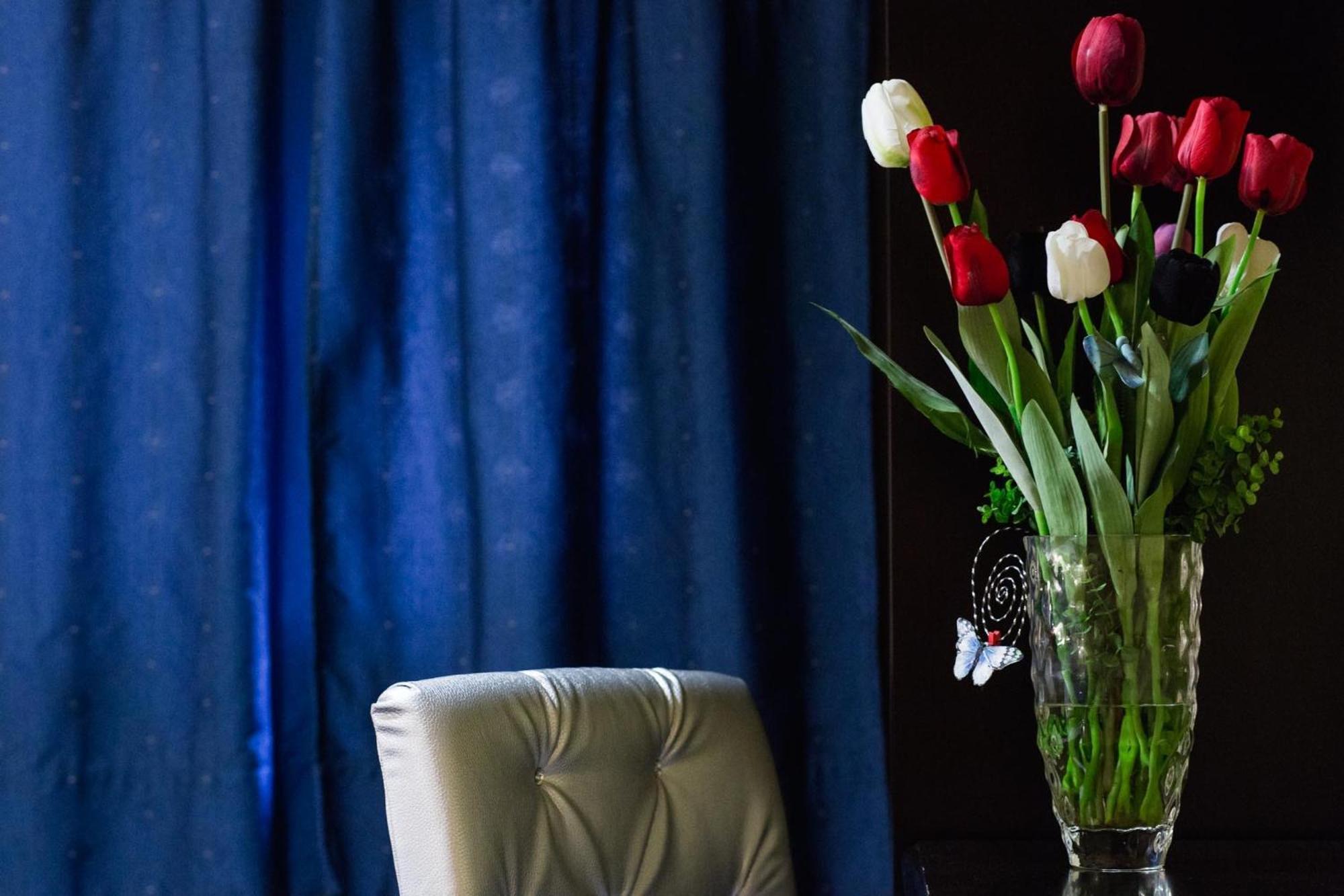 Hotel Tulipa Bragança Cameră foto